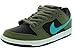 NIKE DUNK LOW PRO SB 304292-230