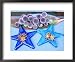 Arrangement of Star Anise on Glass Star Shaped Tiles, on Blue Table with Echinops Ritro Framed Art Poster Print by Linda Burgess, 22x18