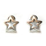Image of Hultquist Silver Plated Star Stud Earrings