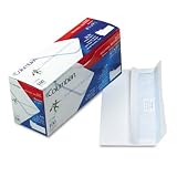 Self-Seal Security Envelopes, #10, 4-1/8