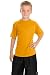 Youth Dry Zone Raglan Accent T-Shirt