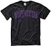 Northwestern Wildcats Black Arch T-Shirt