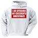I AM SPENDING MY CHILDREN'S INHERITANCE Adult Hooded Sweatshirt (Hoodie / Hoody) Various Colors