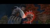 Shinobido 2: Revenge of Zen(͢����)