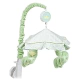 Froggy Tales Musical Mobile