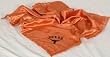 Texas Baby Blanket
