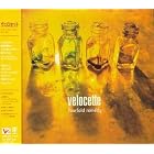 Fourfold Remedy by Velocette