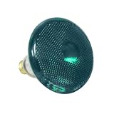 Sylvania 15627 100 Watt Green Flood Light Bulb Indoor/Outdoor
