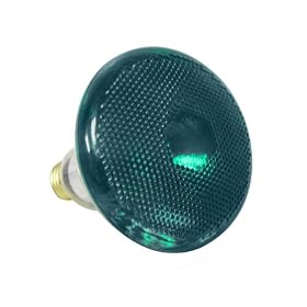Sylvania 15627 100 Watt Green Flood Light Bulb Indoor Outdoor by Sylvania