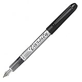 Pilot Varsity Fountain Pen