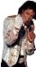 See larger Michael Jackson Sequin Glove Costume Accessory