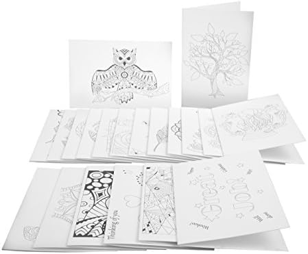 Coloring Greeting Cards Stationery Set by Life in Coloring. Box of 20 with Envelopes.Assorted Blank All Occasion,Birthday,Thank You &amp; More.Made in USA Heavy Cardstock. Everyone Loves to Receive Cards.