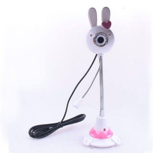 Pink 5.0M USB Webcam Camera With Mic Microphone + 2 LED For PC Laptop