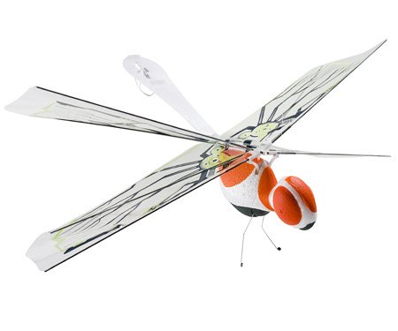 Childrens Toyshop  Toys : Discovery Exclusive Radio Control DragonFly Toy