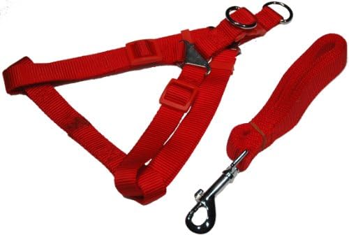 Dog Harness and Leash Set, 1/2 Inch Halter Style, Medium in Red By Zone 70