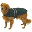 Casual Canine 30-Inch Velvet/Polyester Reflective Dog Jacket, XX-Large, Hunter Green