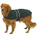 Casual Canine 30-Inch Velvet/Polyester Reflective Dog Jacket, XX-Large, Hunter Green