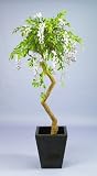 Artificial Wisteria Tree - 150cm - Twisted Wood Stem