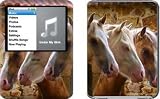 3 Amigos Design Protective Decal Skin Sticker for Apple iPod nano 3G (3rd Generation) 4GB/ 8GB Player