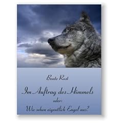 Im Auftrag des Himmels