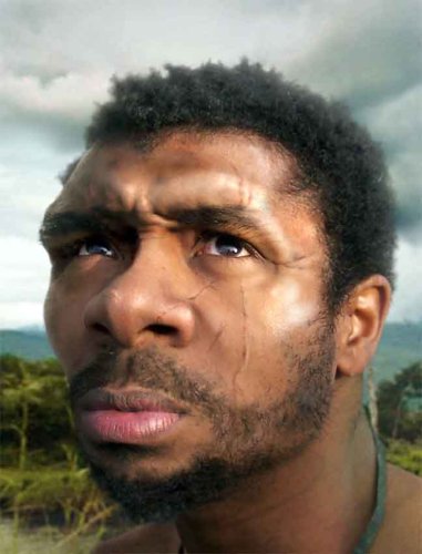 The Last Human: A Guide to Twenty-Two Species of Extinct Humans under Physical in The Books Store