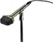 Musical Instruments : Stereo Mic