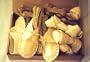 8 pcs of 8" White Rawhide Shoes, 15 pcs of 4-1/2" Pressed Rawhide Bones, 5 pcs of 6-7" White Rawhide Knotted Bones