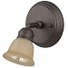 Canarm ICW284A01ORB10 Port Directional Spot Light, Oil Rubbed