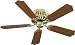 Nutone PFCH52BR Five Blade Hug the Ceiling Ceiling Fan,Polished Brass