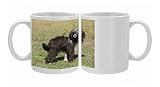 LA-6565 Chinese Crested Dog Photo Mugs