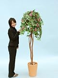 光触媒 観葉植物 ブーゲンビリア 180cm