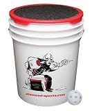 Bucket of balls-30 plastic training 9 baseballs ONE BUCKET OF 30 9 PRACTICE BASEBALLS