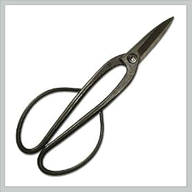 Bonsai Tree Tool - Professional Grade Long Handle Bonsai Shear - By joebonsai
