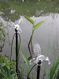 Hummingbird Garden Stakes - B001QD1914