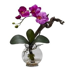 Mini Phalaenopsis w/Fluted Vase Silk Flower Arrangement