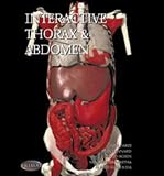 Interactive Throax and Abdomen