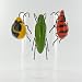 Pot Sitter Plant Bug Set Ladybug Grass Hopper