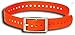 Garmin 1-Inch Dog Collar, Blue