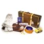 Arfdog SL100 Sleepover Suitcase