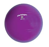 Harbinger Purple Training Ball (55cm, Heights 5'1- 5'6)