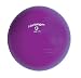 Harbinger Purple Training Ball (55cm, Heights 5'1"- 5'6")