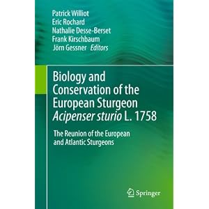 Biology and Conservation of the European Sturgeon Acipenser sturio L. 1758: The Reunion of the European and Atlantic Sturgeons