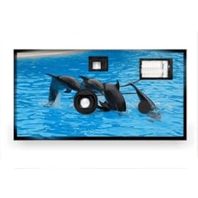 Animal Disposable Camera - Dolphin Case Pack 20