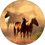 Horse #9 Spare Tire Cover