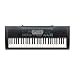 Casio CTK-2100 61 Key Personal Keyboard with New Voice Pad Feature