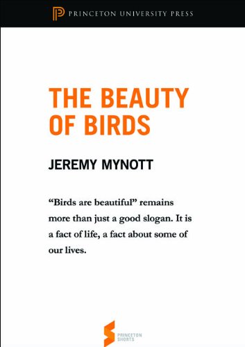 The Beauty of Birds: From 