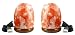 Indus Classic 4-inch Pack-2 Himalayan Natural Crystal USB Salt Lamp with Multicolor LED 2.2-lbs, Get Free Gift 125 Grams Original Himalayan Food Edible Salt