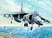 1/32 アメリカ海兵隊 AV-8B ハリアーII (02229)