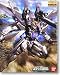 Gundam GAT-X105E Strike E+I.W.S.P. Lucas O'Donnell Custom MG 1/100 Scale