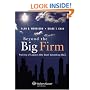 Beyond the Big Firm: Profiles of Lawyers Who Want Something More (Introduction to Law Series)